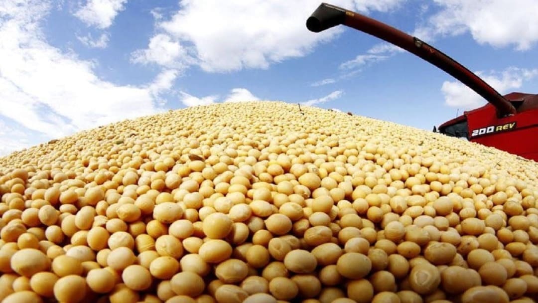Paramount Holdings Exports 240 Tons Of Soya Beans To China