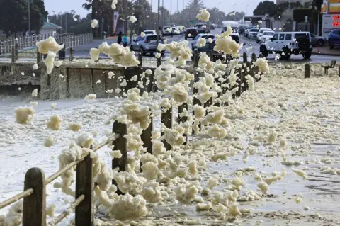 ESA ALEXANDER / REUTERS Sea foam is pictured next to a fence at Three Anchor Bay.