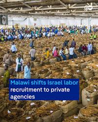 Is it progressive for Malawi to export labour including jobless nurses to Israel?