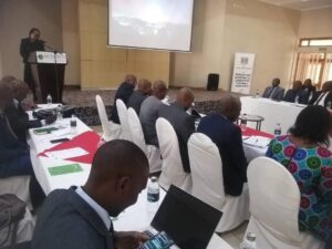 IMG 20250623 WA0158 300x225