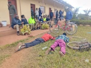 Mob Loots Over 10,000 Chickens in K500 Million Raid on Thanzi Chicks Farm | Malawi Freedom Network FB IMG 1753809499049 300x225