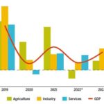 Stuck in the slow lane: Can Malawi Reverse its economic decline before it’s too late?