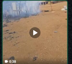 IMG 20250720 052314 300x269