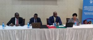 Atupele Muluzi Vows to Fix Economy for Better Maternal and Child Health FB_IMG_1754490868934