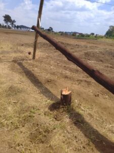 FB IMG 1754813625087 225x300