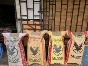 Concerned citizen worry with MCP government silence over fertilizer prices | Malawi Freedom Network IMG 20250801 WA0381