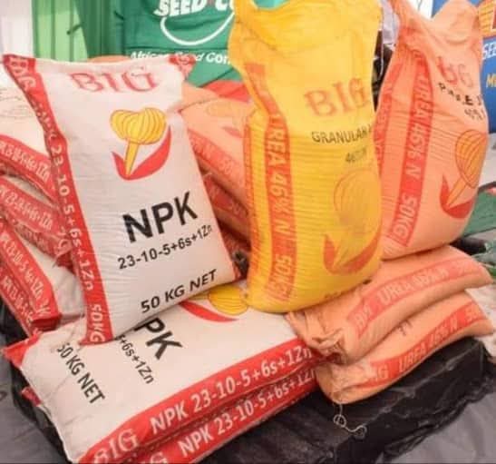 NPK fertilizer on display