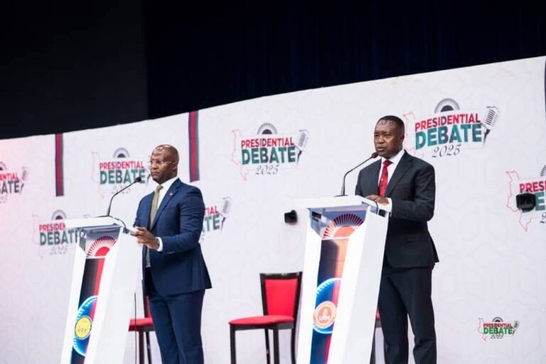 Atupele Muluzi and Dalitso Kabambe Oppose Turning NEEF Into a Bank, Propose Agricultural Bank Instead