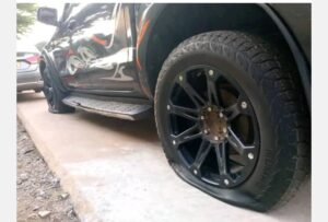 IMG 20250927 080245 300x203