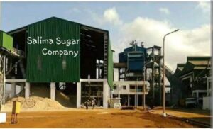 Government Shuts Down Salima Sugar Company Over Financial and Management Concerns fb img 1759735163582