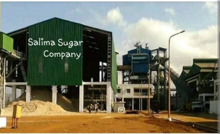 Government Shuts Down Salima Sugar Company Over Financial and Management Concerns