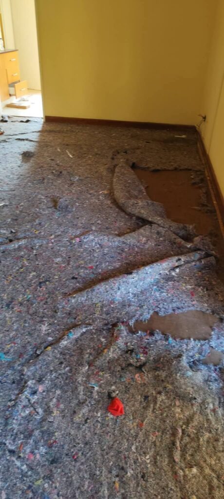 Rooms Cleared, Walls Smeared, Trust Broken”: Inside the State of Kamuzu Palace fb img 1759906701563