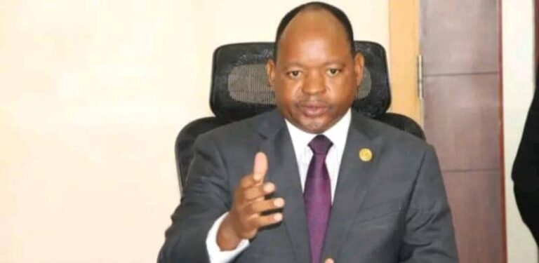 UPND’s Mweetwa: safeguarding Zambia’s elections through lessons from Malawi