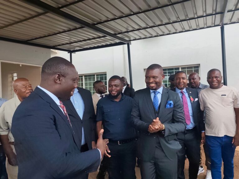 High Court Orders MEC to Release Lilongwe Mtandire–Ntsiriza Election Results