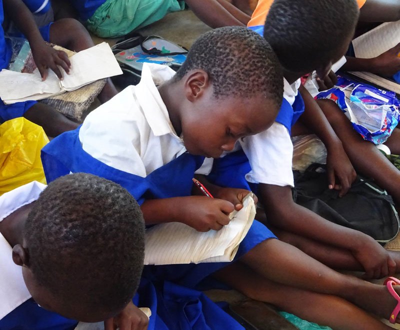 School Fund Increases Raise Concern After Mutharika Declares Free Education primary education malawi ripple africa charity 3 1