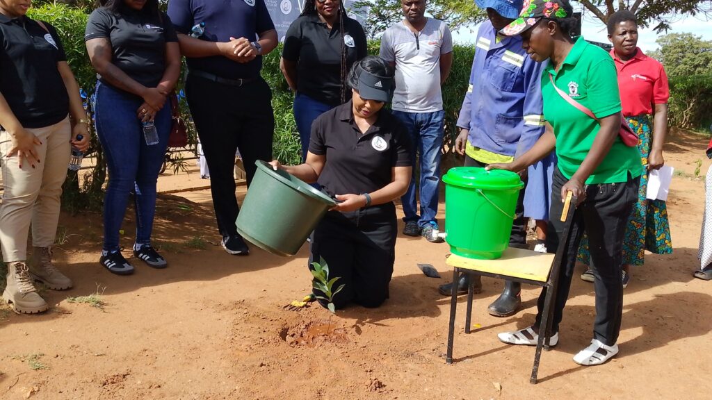 chilima waters her tree