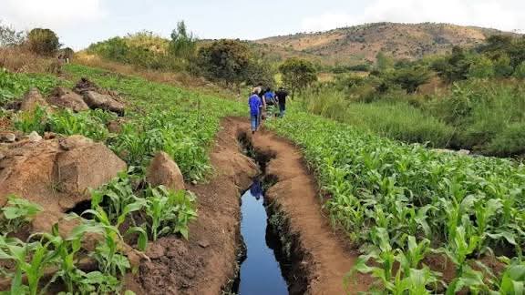 Give DPP Benefit of the Doubt on Economic Recovery – HRCC fb img 1765123268781