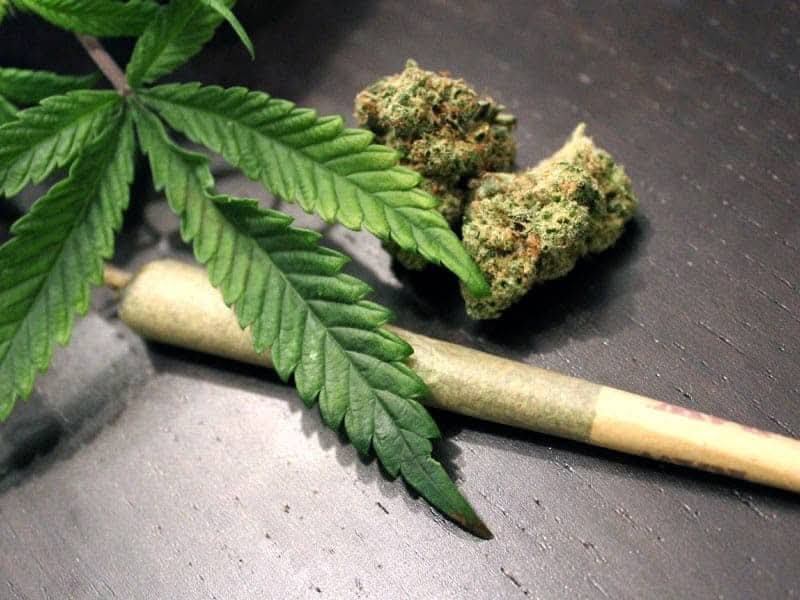 fb img 1765711001564