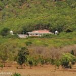 fb img 1766215121883