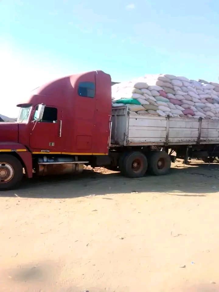 Where did the maize go? img 20251217 wa0171
