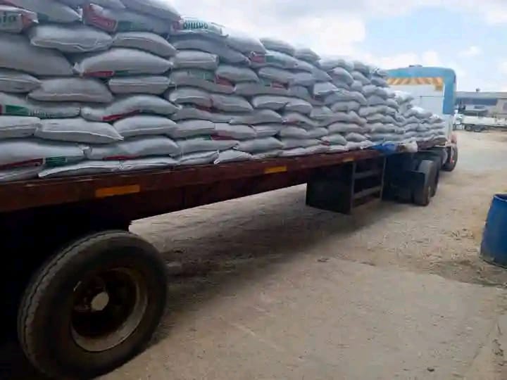 Where did the maize go? img 20251217 wa0179