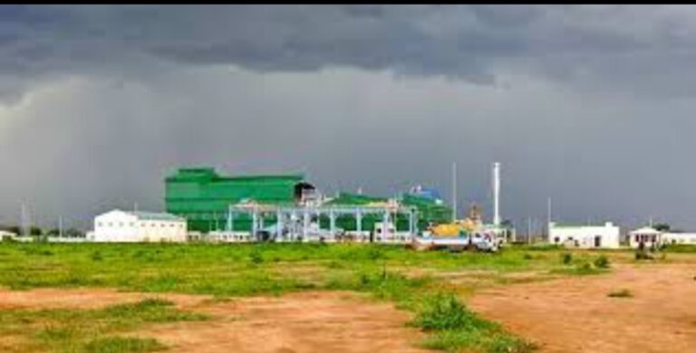 Malawi’s Sugar Giant in Shambles: Millions Lost, Trust Broken