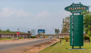 990caa0a 7094 4301 a712 ab181d1cd850 300x176