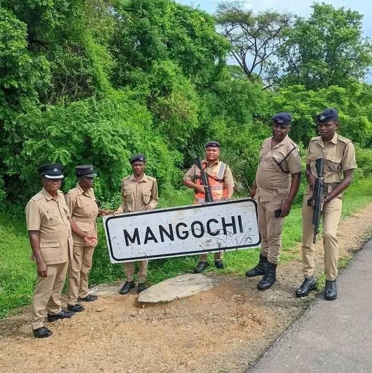 Print & Cut Steps Forward to Restore Iconic Mangochi Sign