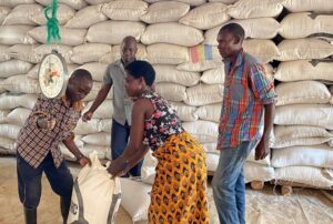 ADMARC Expands Maize Markets Nationwide, Boosting Access in High-Price Areas fb img 1768217274186