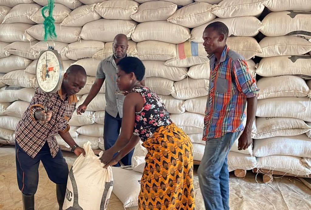 fb img 1768217274186