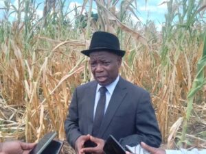 Mangochi Chief Appeals for Government Intervention as Dry Spell Threatens Food Security img 20260203 wa0301