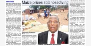 Maize prices continue to slide as market supply rises | Malawi Freedom Network img 20260210 wa0039