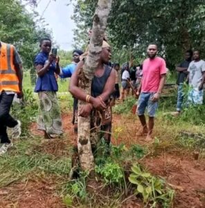 Mob Justice in the Name of Culture: Action Hope Malawi Condemns Brutal Abuse of Woman in Mzuzu | Malawi Freedom Network IMG 20260202 094607