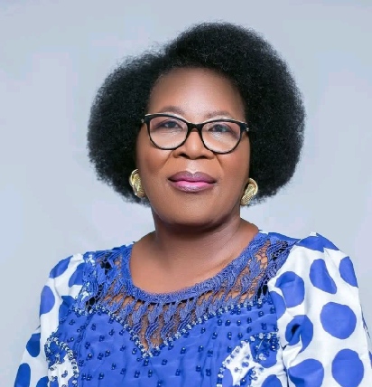 UDF, UTM Raise Alarm Over Alleged Undermining of Vice President’s Office