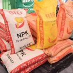 Policy Missteps and Food Insecurity: A Critical Look at MCP’s Governance