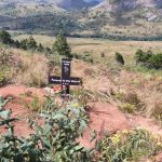 Parliament Committee Visits Viphya Plane Crash Site in Probe Into Chilima Tragedy