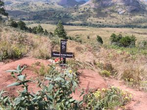 Parliament Committee Visits Viphya Plane Crash Site in Probe Into Chilima Tragedy