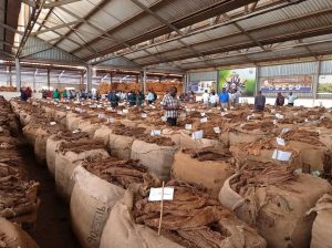 Concerned citizen group expresses concerns over rejection of tobacco bales