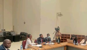 Corruption in Malawi’s Public Hospitals Undermining Health System, Journalists tell Parliament