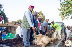 Eid Al-Adha Marked by 30-Cattle Donation from Dr Jane Ansah Foundation to Malawi’s Muslim Communities