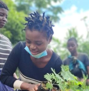 One Acre Fund supports Dowa Council to reduce environmental degradation