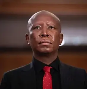 Julius Malema: Why Africa Must Celebrate a Modern Champion of Pan-African Unity