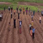 Israel Farm Jobs Losing Appeal Among Malawian Workers Over Escape Concerns