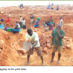 Why Are Malawi Cabinet Ministers Silent on Alleged “Gold Shipment to Israel”? Public Demands Answers Grow