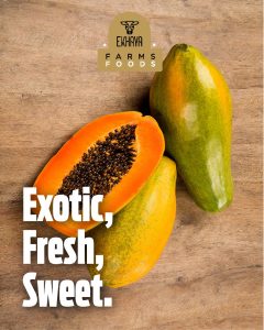 Taste Nature’s Finest with Ekhaya Farms Foods