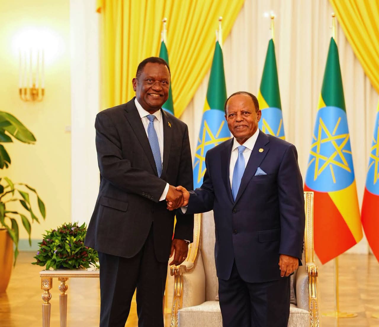 Malawi Ambassador Khwauli Msiska Presents Credentials to Ethiopian President
