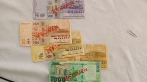 RBM Raises Alarm as Malawi Destroys Over K400 Billion Worth of Banknotes Every Year