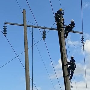 Escom Launches K11 Billion Power Line Upgrade to Reduce Blackouts, Create 200 Jobs