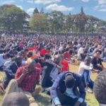 Thousands of Graduates Still Jobless: The Growing Youth Unemployment Challenge in Malawi