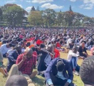 Thousands of Graduates Still Jobless: The Growing Youth Unemployment Challenge in Malawi